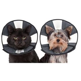 ZenPet Zen Cone Soft Recovery Collar - Small - 1 count