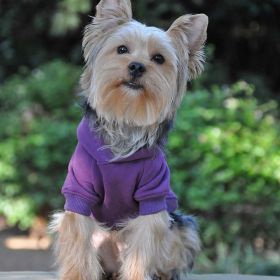 Flex-Fit Hoodie- Purple (size: X-Small)