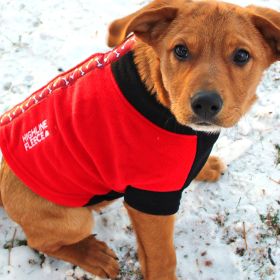 Highline Fleece Coat-Red and Black With Rolling Bones*LC=Large Chest (size: Size 18)