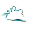 American River Ombre Leash - Aruba Blue