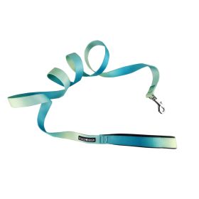 American River Ombre Leash - Aruba Blue (size: 1 inch wide x 6 feet long)