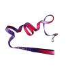 American River Ombre Leash - Raspberry Sundae