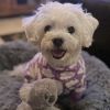 Cuddle Pup Dog Pajamas - Fluffy Clouds - Purple