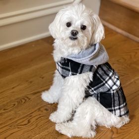 Weekender Dog Sweatshirt Hoodie Black & White Plaid Flannel  NEW 2023 (size: large)