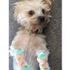 Non-Skid Dog Socks - Pineapple